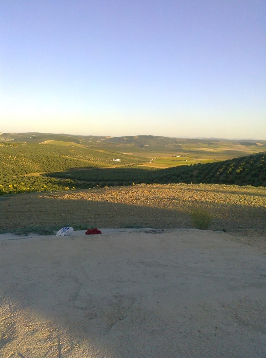 Gracia Luque